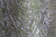 Brownbread Street fibreglass roof work